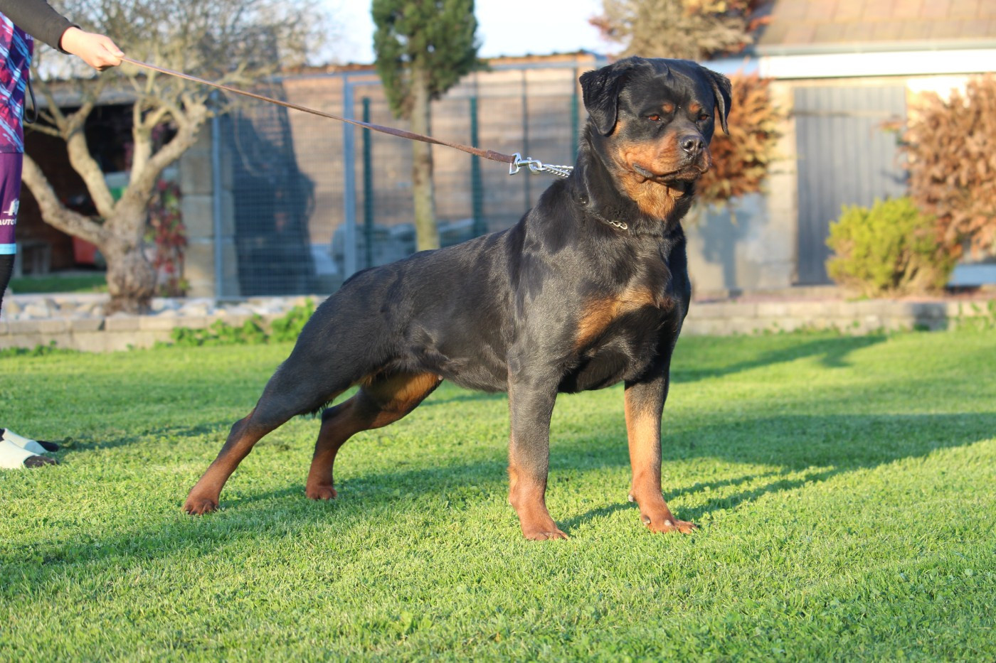 Victoria Of Legend Mysteria