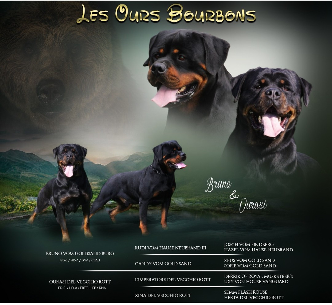 Un heureux événement